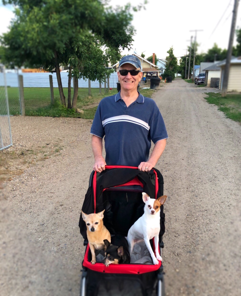 Dennis pushing the Chihuahua stroller down the road